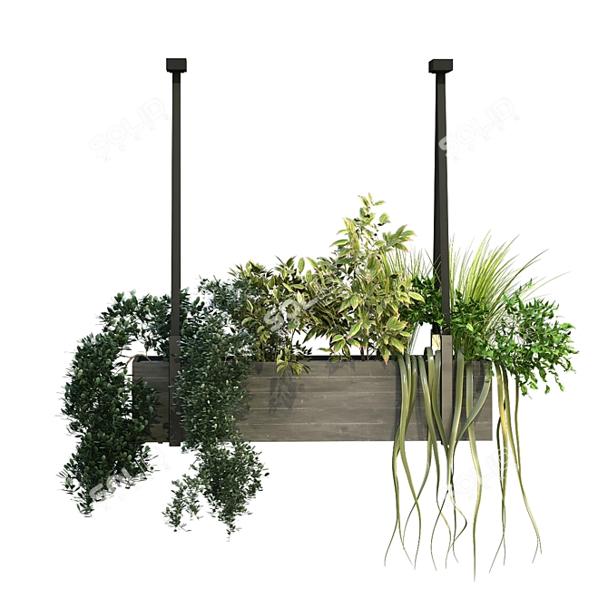 Green Oasis: Indoor Plant Box Set 3D model image 2