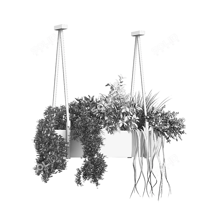 Green Oasis: Indoor Plant Box Set 3D model image 6