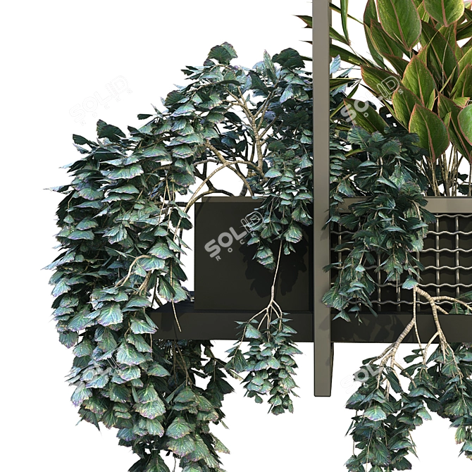 Modern Metal Indoor Plant Box Set 3D model image 5