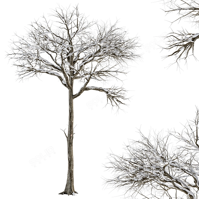 Frosty Wonderland Tree - Set 58 3D model image 2
