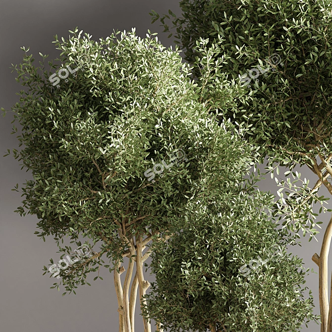 Modern Indoor Plant Stand 38 3D model image 5