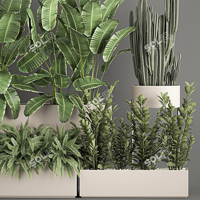 Exotic Plant Collection: Decorative Palms, Ferns, Cacti & More 3D model image 2
