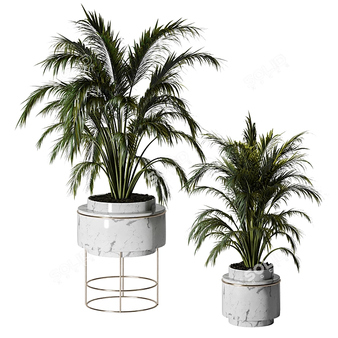 Lush Indoors: Fern Duo 3D model image 1