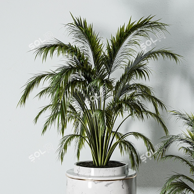 Lush Indoors: Fern Duo 3D model image 3