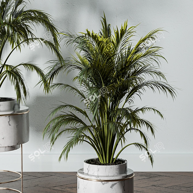 Lush Indoors: Fern Duo 3D model image 4