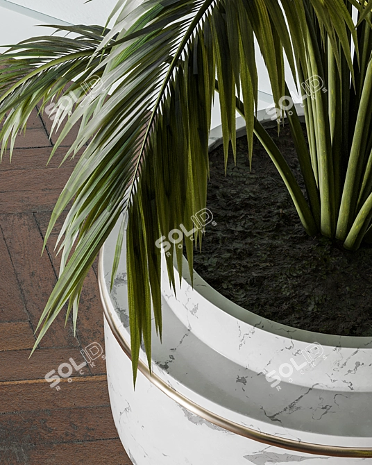 Lush Indoors: Fern Duo 3D model image 5