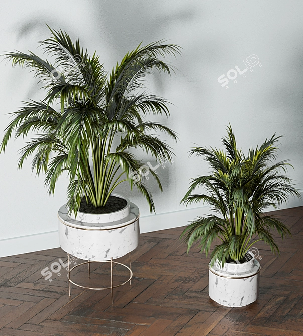 Lush Indoors: Fern Duo 3D model image 6