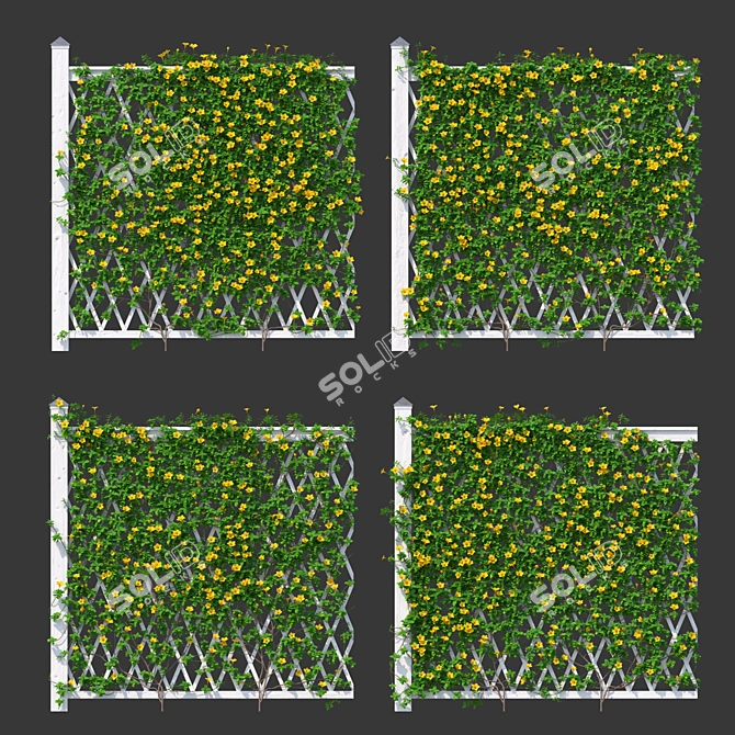 Mandeville Sandera Fence with Yellow Corona Flowers 3D model image 3