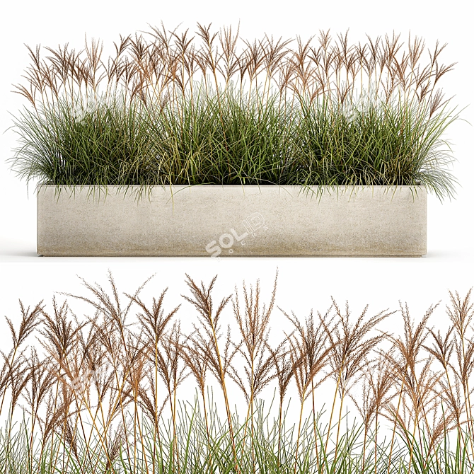 Exquisite Plant Collection: Indoor and Outdoor Beauties 3D model image 7