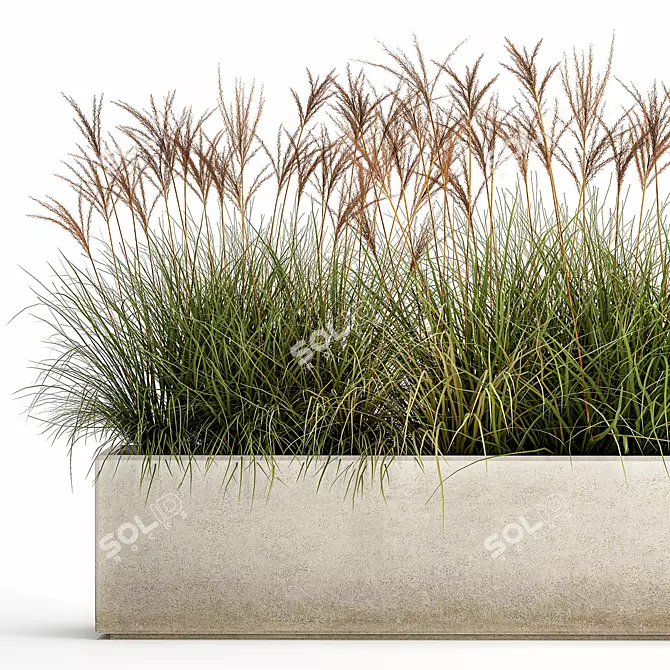 Exquisite Plant Collection: Indoor and Outdoor Beauties 3D model image 1