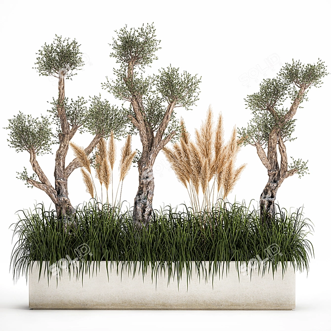 Exotic Plant Collection: Decorate Your Space with Stylish Concrete Pots 3D model image 7