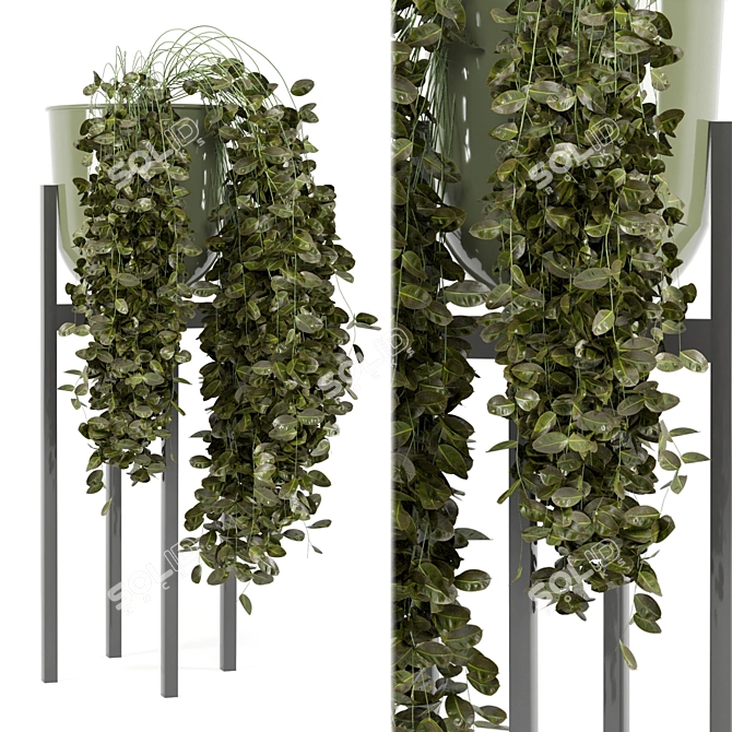 Modern Indoor Plants in Bau Pot 3D model image 2