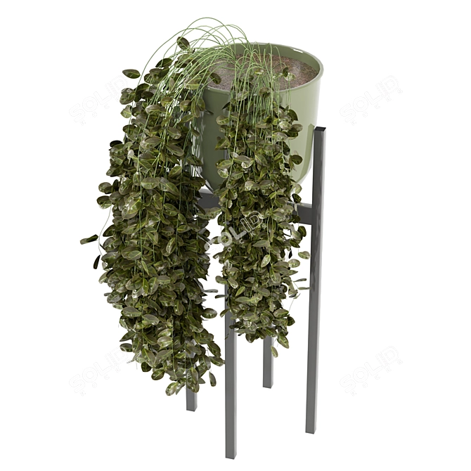 Modern Indoor Plants in Bau Pot 3D model image 4