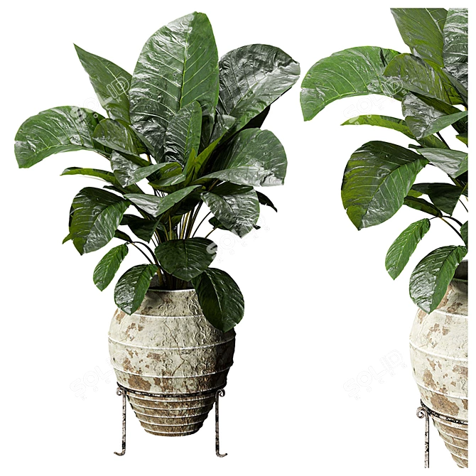 Elephant Fronds Indoor Plants: 3DSMAX 2018 & OBJ File 3D model image 1