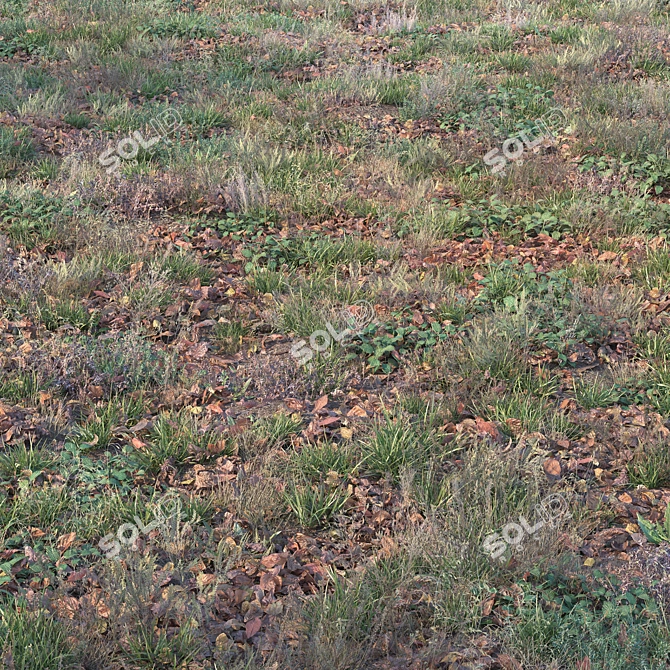 Title: Autumn Grass with Leaves 3D model image 1