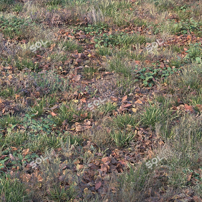 Title: Autumn Grass with Leaves 3D model image 5