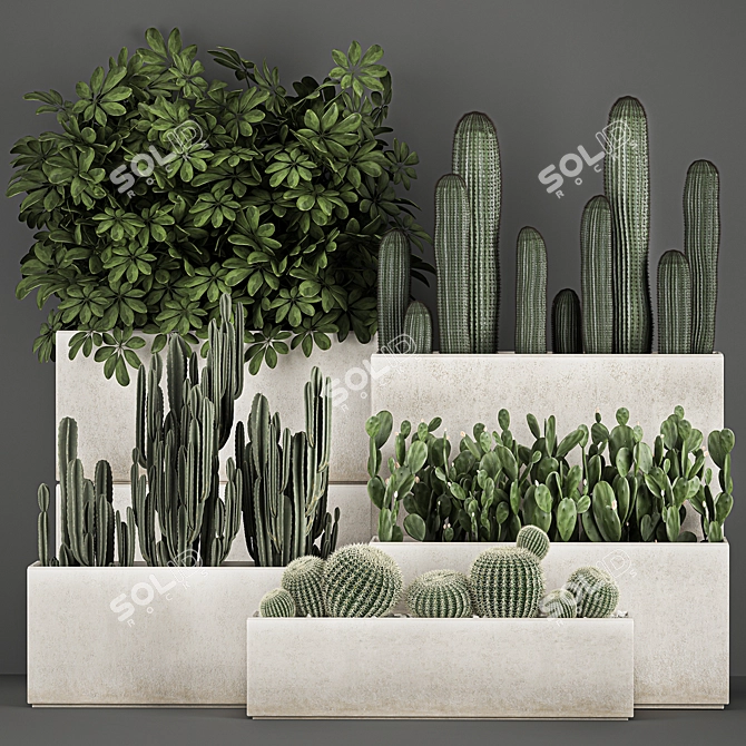 Exotic Cactus Collection: Decorate Your Space with Tropical Plants 3D model image 1