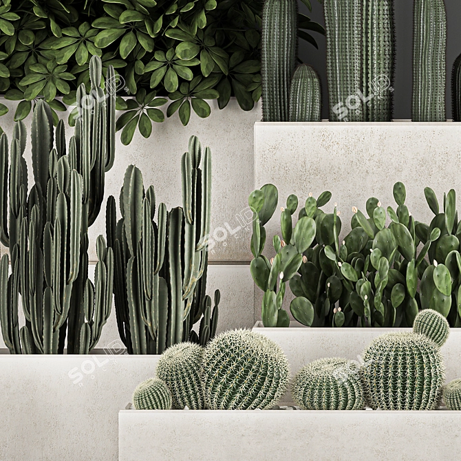 Exotic Cactus Collection: Decorate Your Space with Tropical Plants 3D model image 2