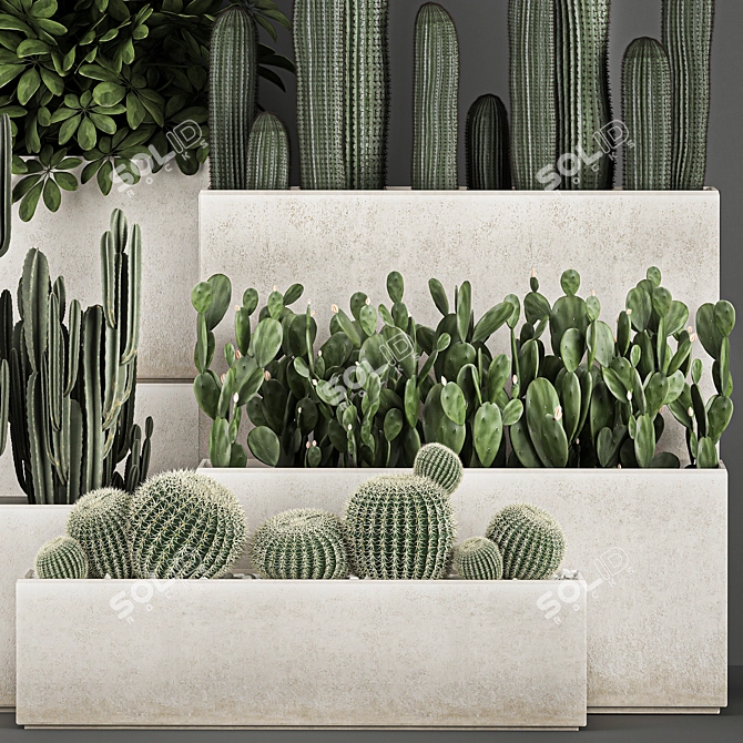 Exotic Cactus Collection: Decorate Your Space with Tropical Plants 3D model image 4