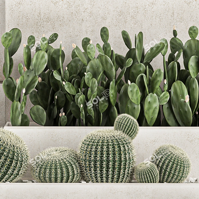 Exotic Cactus Collection: Decorate Your Space with Tropical Plants 3D model image 5