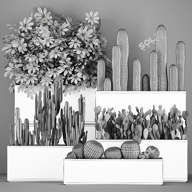 Exotic Cactus Collection: Decorate Your Space with Tropical Plants 3D model image 7