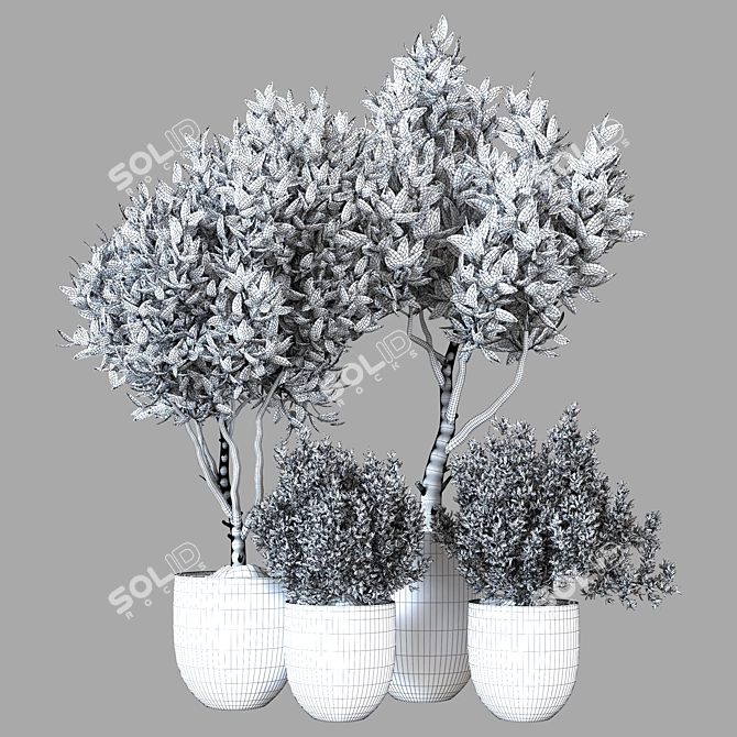 Modern Indoor Plant Collection 3D model image 3