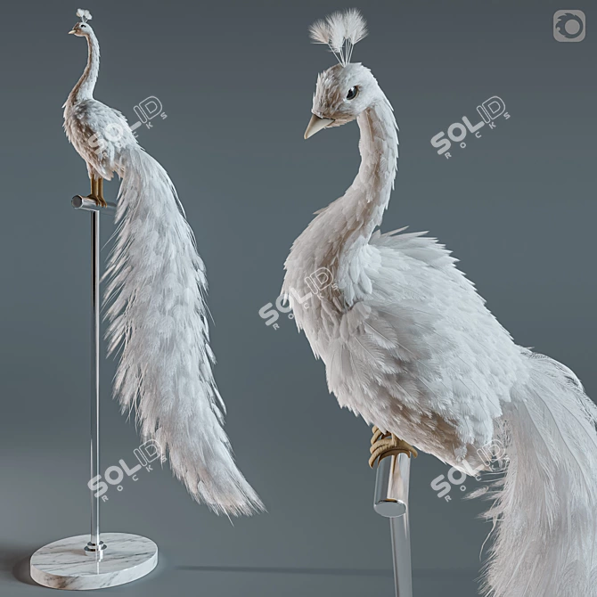 Elegant White Peacock Decoration 3D model image 5