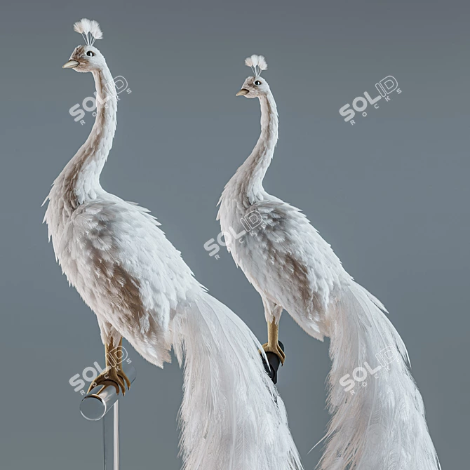 Elegant White Peacock Decoration 3D model image 13