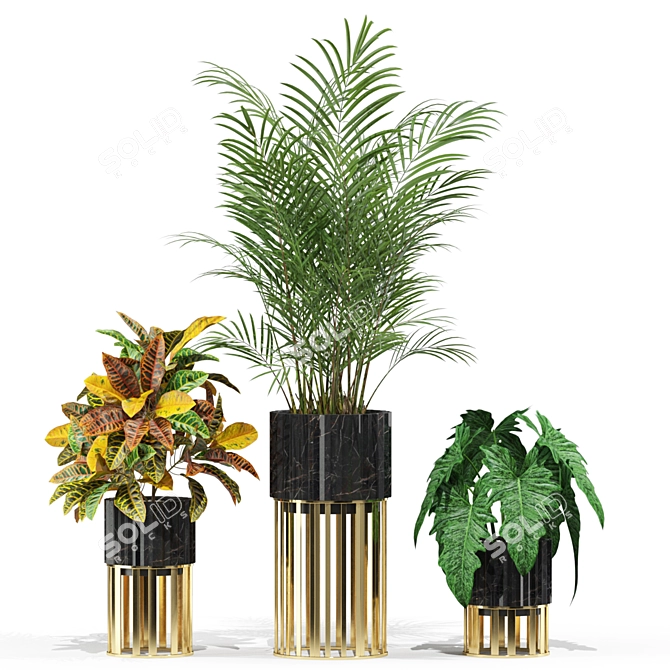 Botanical Bliss: 607 Stunning Plants 3D model image 2