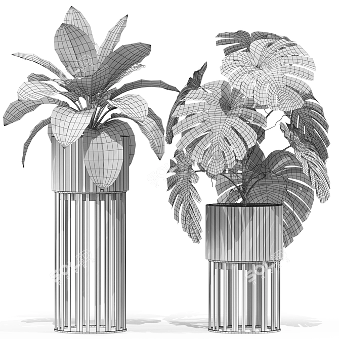 Botanical Bliss: 607 Stunning Plants 3D model image 5