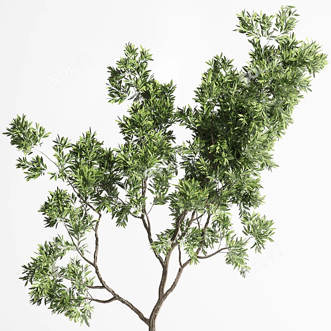 150 Plant Tree Metal Vase: Indoor Elegance 3D model image 4