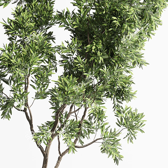 150 Plant Tree Metal Vase: Indoor Elegance 3D model image 5