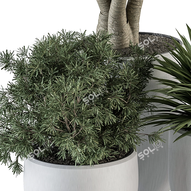 Fresh Greenery: Yuka Tree & White Pot 3D model image 3