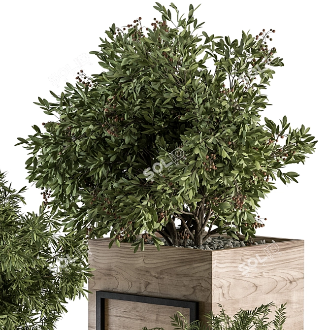 315 Indoor Plant Set: Wood Box 3D model image 3
