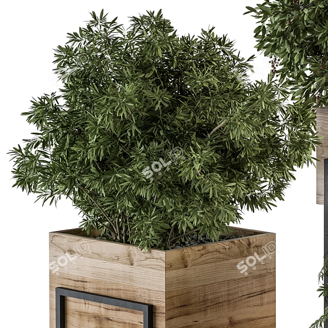 315 Indoor Plant Set: Wood Box 3D model image 4