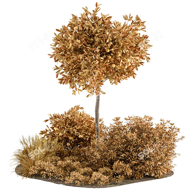 Autumn Oasis - Garden Set 3D model image 1