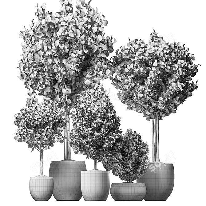 Contemporary Indoor Plant Assortment 3D model image 4