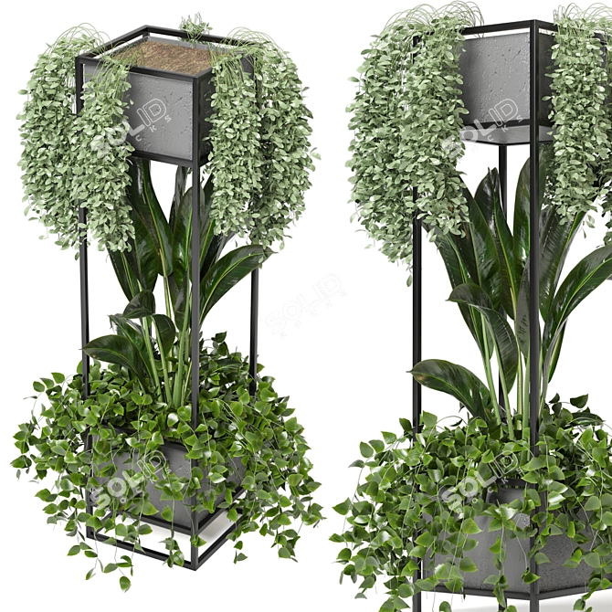 Title: Rusty Concrete Pot Shelf with Indoor Plants 3D model image 1