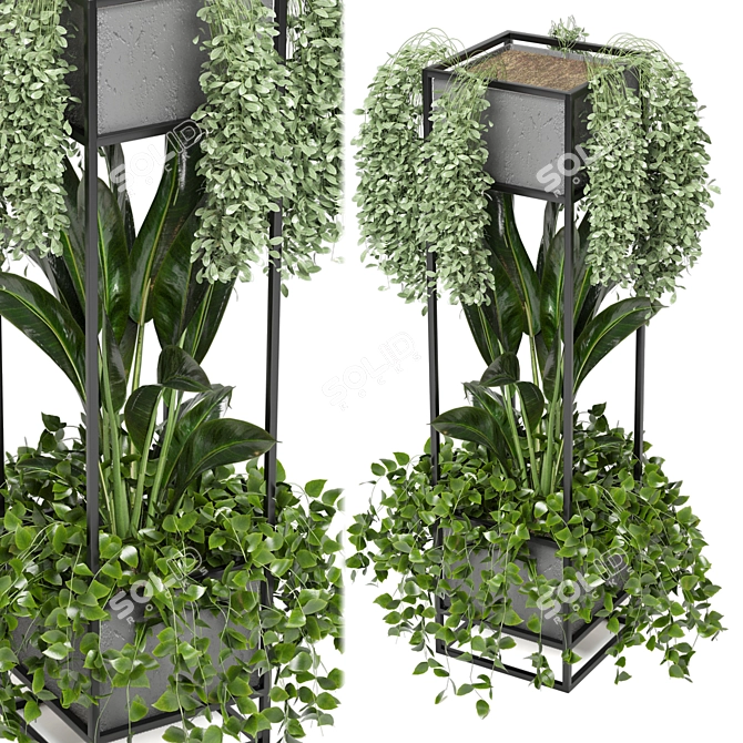 Title: Rusty Concrete Pot Shelf with Indoor Plants 3D model image 2