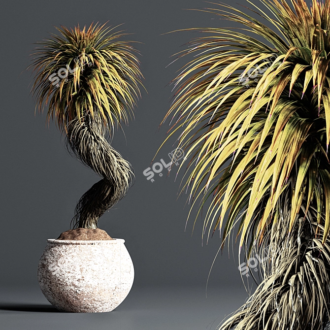 Maximize Your Interior with Indoor Bonsai 3D model image 1