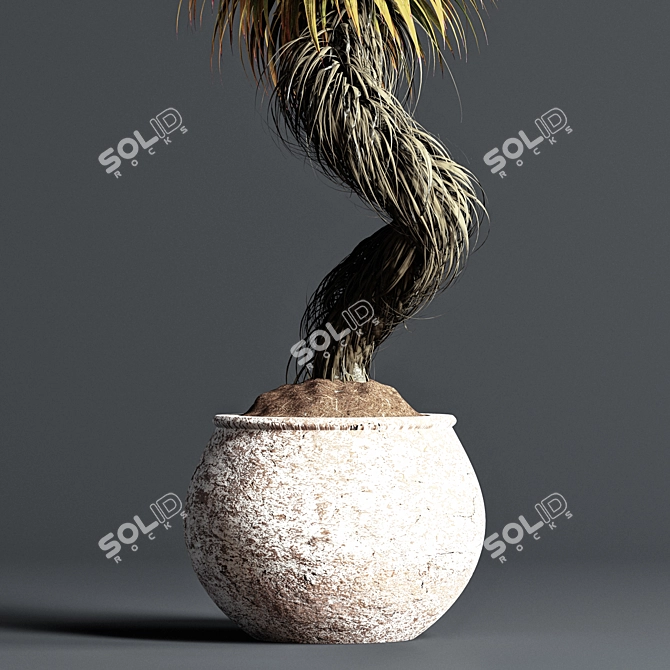 Maximize Your Interior with Indoor Bonsai 3D model image 4