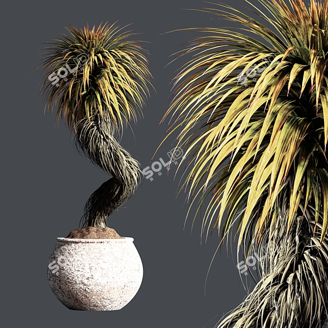 Maximize Your Interior with Indoor Bonsai 3D model image 10