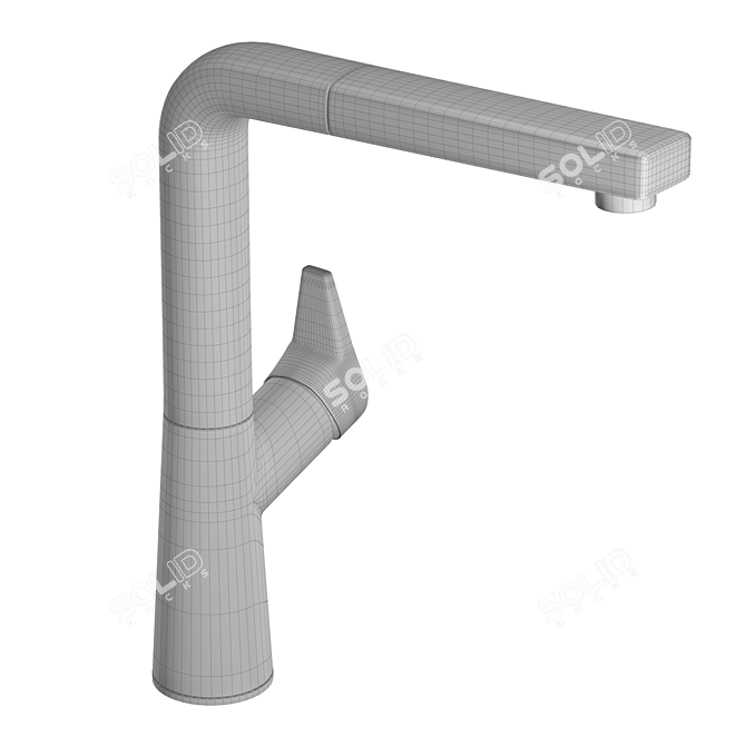 Blanco Avona-S High Quality Faucet 3D model image 3