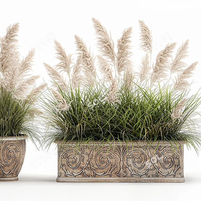 Tropical Plant Collection in Concrete Vase 3D model image 5
