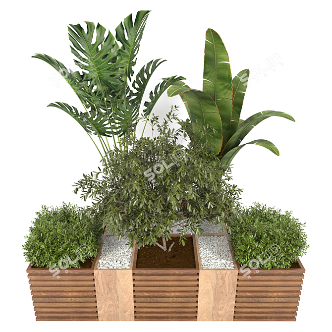 Tropical Plant Collection: Banana, Monstera & More 3D model image 2