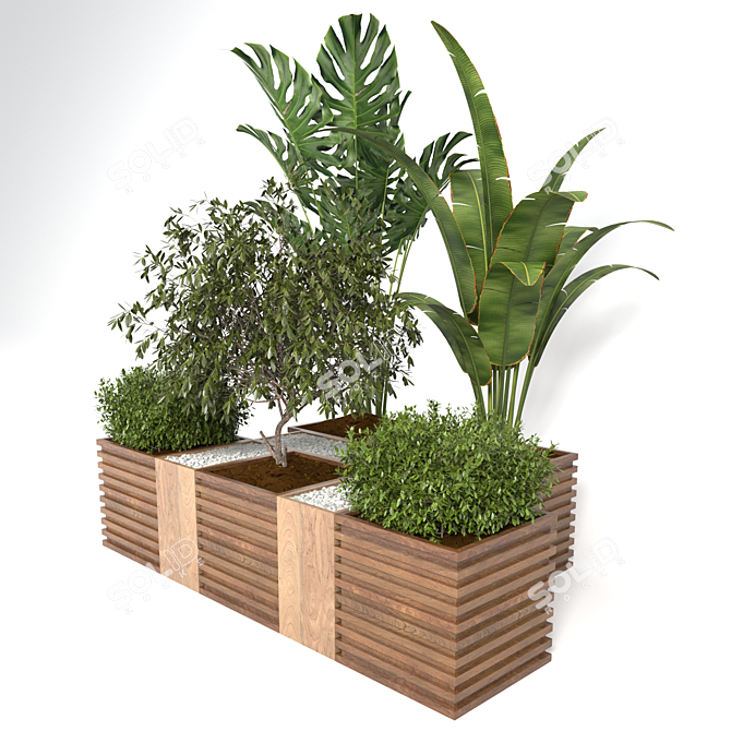 Tropical Plant Collection: Banana, Monstera & More 3D model image 4