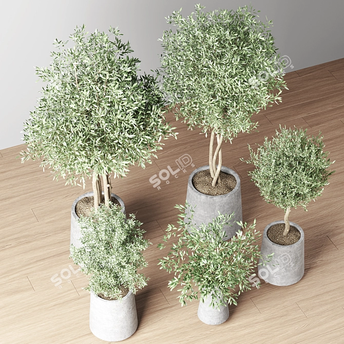 Indoor Oasis Plant Set 3D model image 3