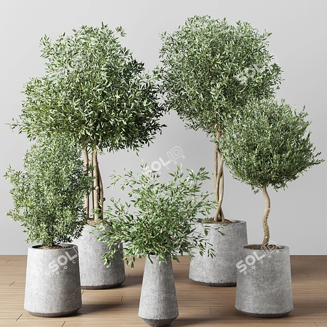 Indoor Oasis Plant Set 3D model image 8