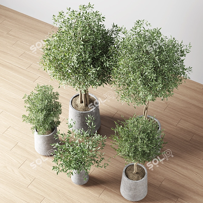 Indoor Oasis Plant Set 3D model image 9