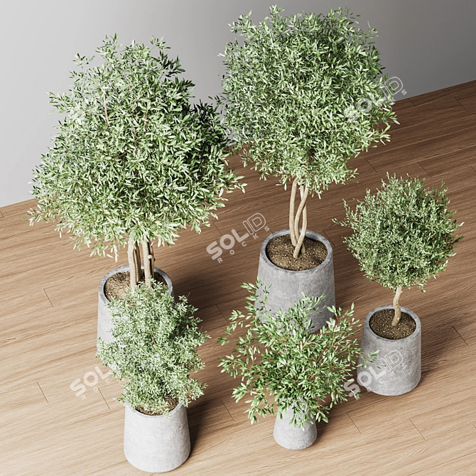 Indoor Oasis Plant Set 3D model image 10